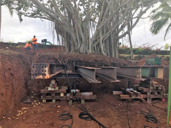 Moving the Bayan Tree