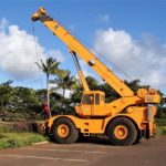 Kauai Cranes