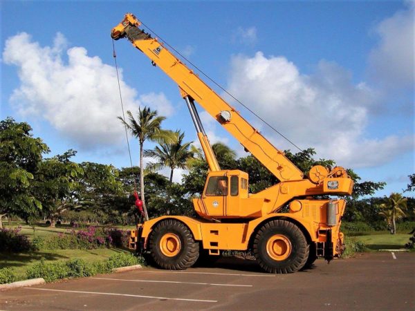 Kauai Cranes