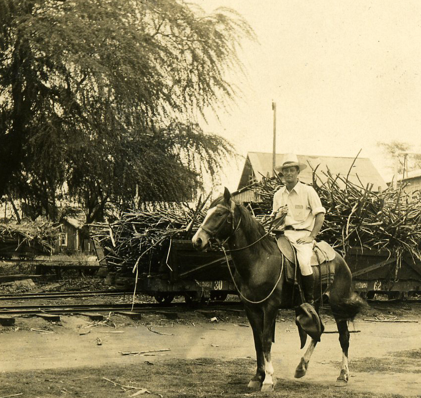 Mike Faye’s father is appointed Manager of Waimea Sugar